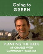 Planting The Seeds of Change with Community Forestry (DVD)