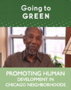 Promoting Human Development in Chicago Neighborhoods (DVD)