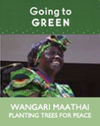 Wangari Maathai: Planting Trees for Peace (DVD)